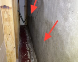 Dark moisture staining across the lower portion of a concrete basement foundation wall