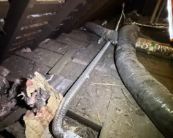 Uninsulated flexible bathroom exhaust duct running across an unconditioned attic