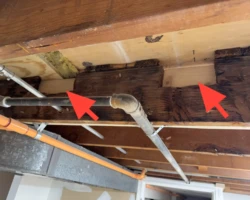 Floor joist with an oversized bored hole for piping and a sister joist bolted alongside