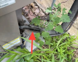 Refrigerant Line – Insulation Torn and Deteriorated Torn and crumbling foam insulation on the refrigerant suction line at an outdoor condenser