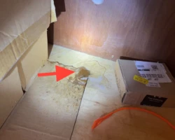 Sink Drain – Active Leak Beneath the Cabinet Water leaking from drain piping under a sink onto the cabinet base below
