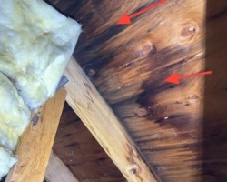 Water staining on attic roof sheathing surrounding a skylight shaft